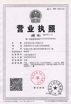 執照